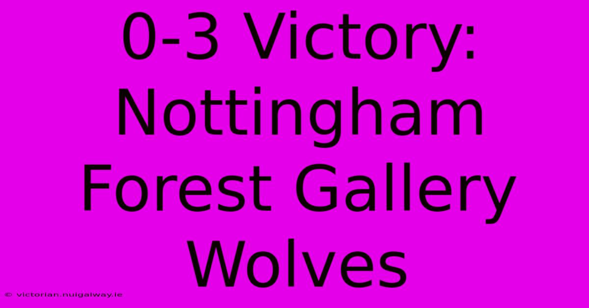 0-3 Victory: Nottingham Forest Gallery Wolves