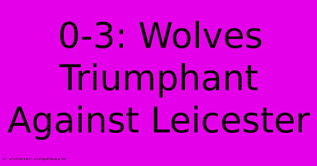 0-3: Wolves Triumphant Against Leicester