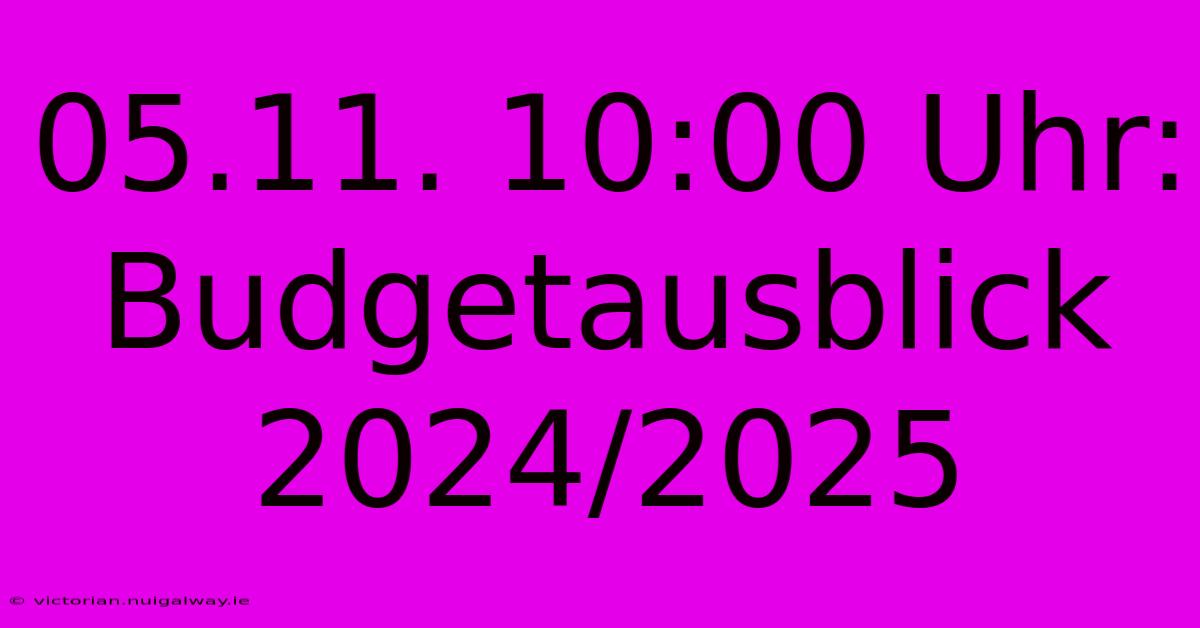 05.11. 10:00 Uhr: Budgetausblick 2024/2025