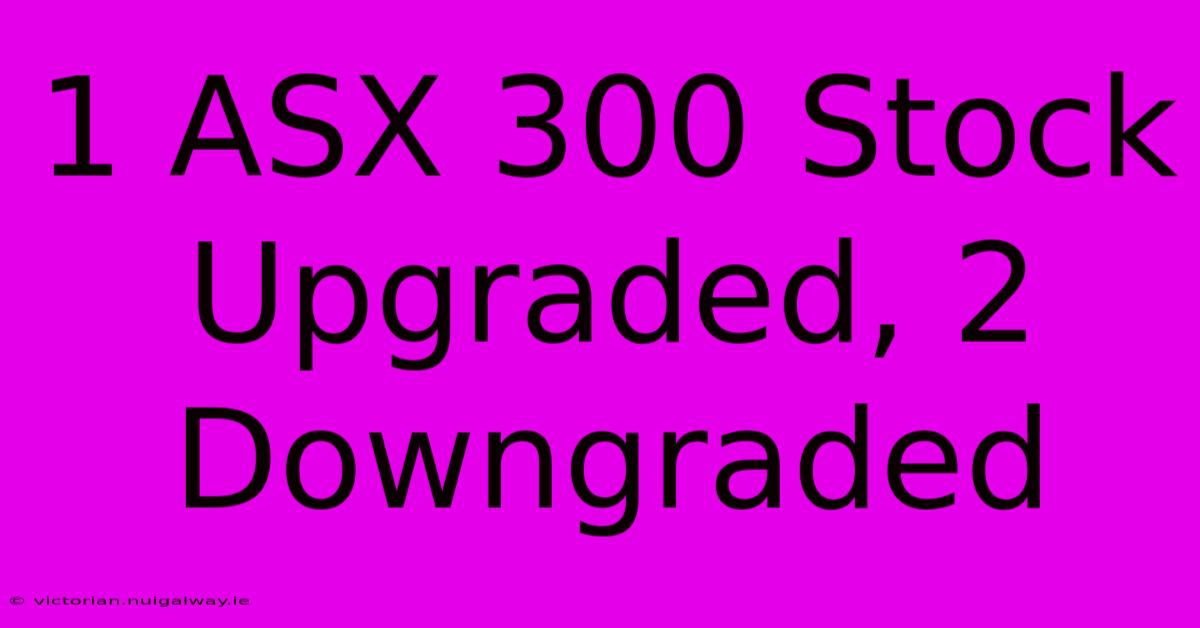 1 ASX 300 Stock Upgraded, 2 Downgraded