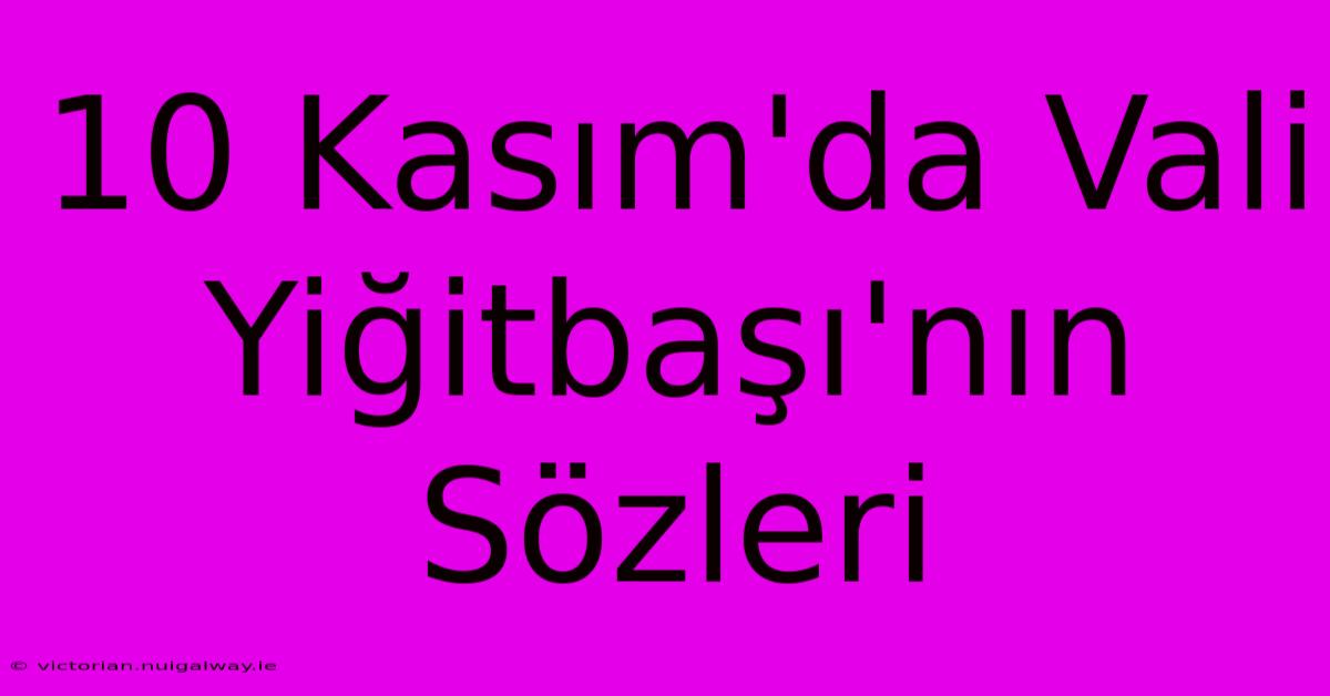 10 Kasım'da Vali Yiğitbaşı'nın Sözleri