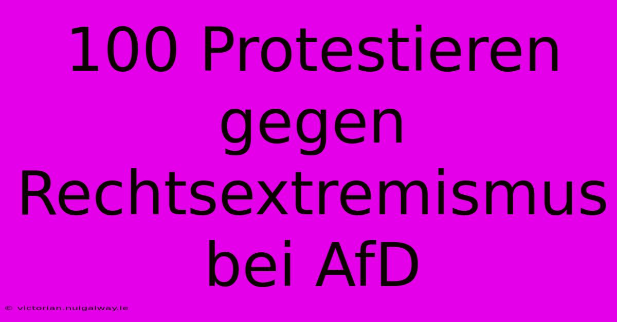 100 Protestieren Gegen Rechtsextremismus Bei AfD