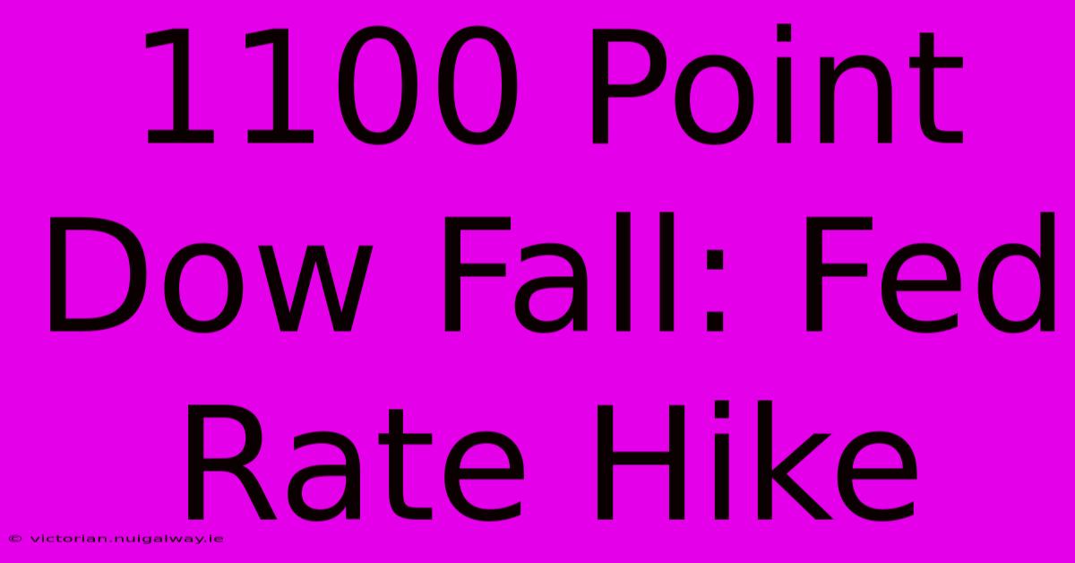 1100 Point Dow Fall: Fed Rate Hike