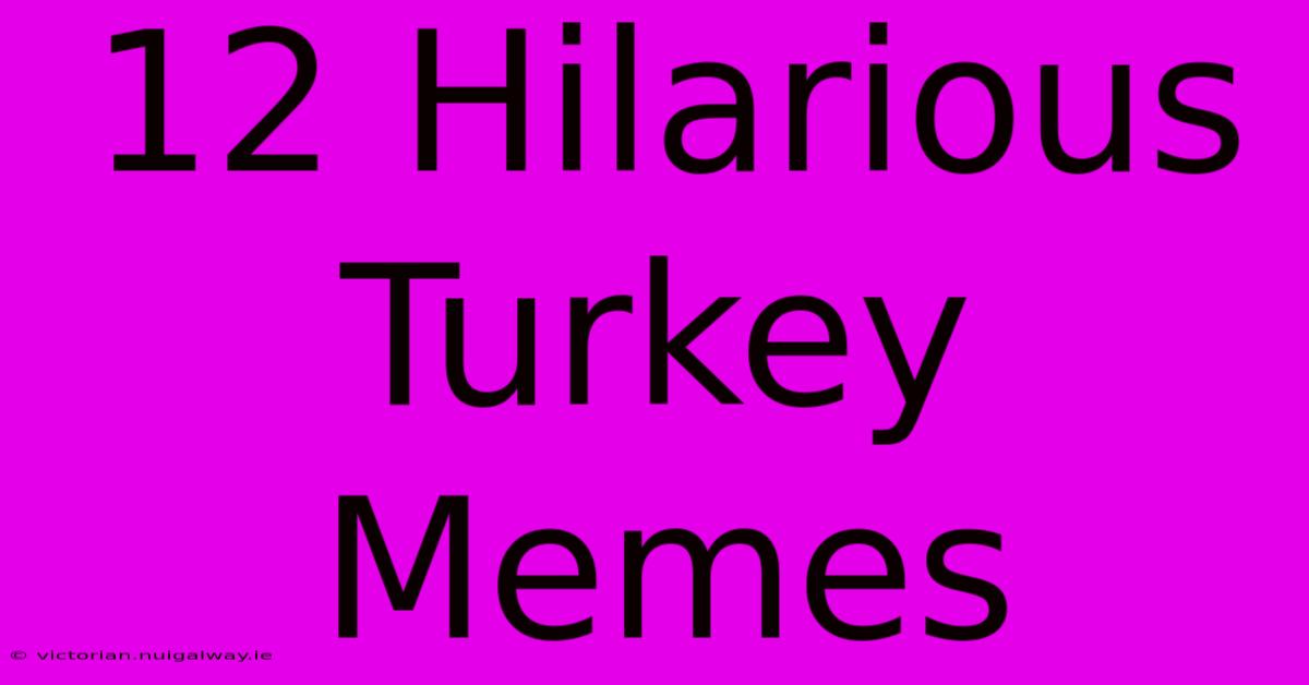 12 Hilarious Turkey Memes