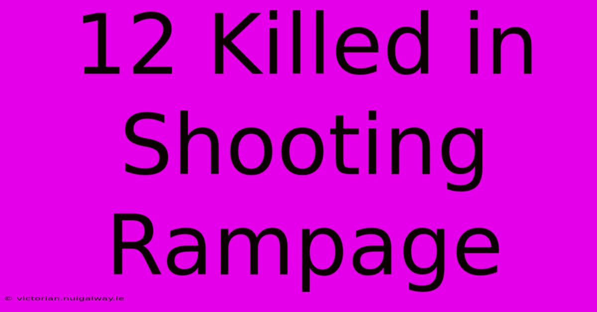 12 Killed In Shooting Rampage