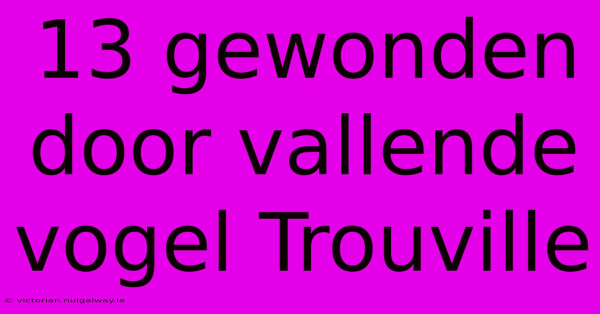 13 Gewonden Door Vallende Vogel Trouville