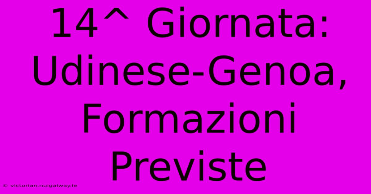 14^ Giornata:  Udinese-Genoa, Formazioni Previste