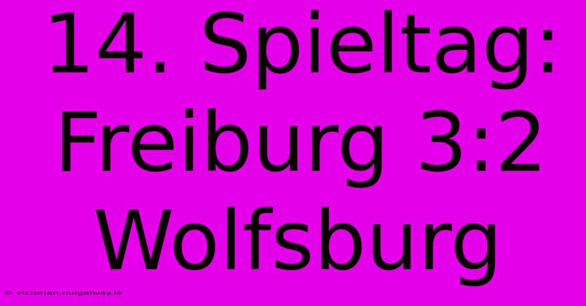 14. Spieltag: Freiburg 3:2 Wolfsburg