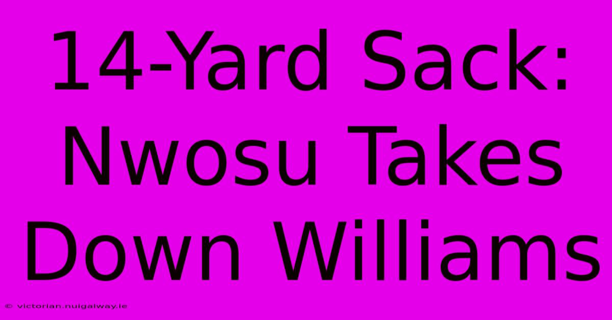 14-Yard Sack: Nwosu Takes Down Williams