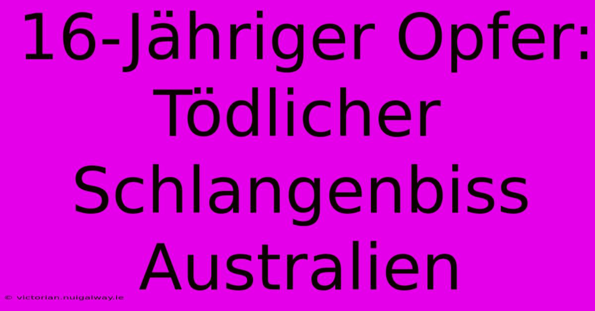 16-Jähriger Opfer: Tödlicher Schlangenbiss Australien