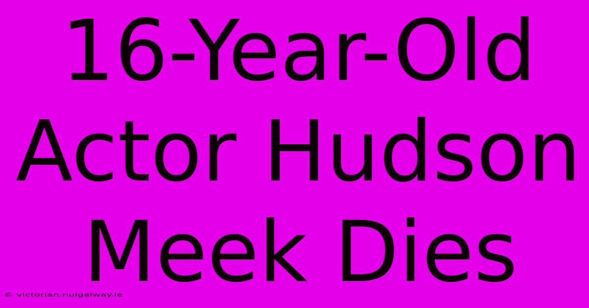 16-Year-Old Actor Hudson Meek Dies