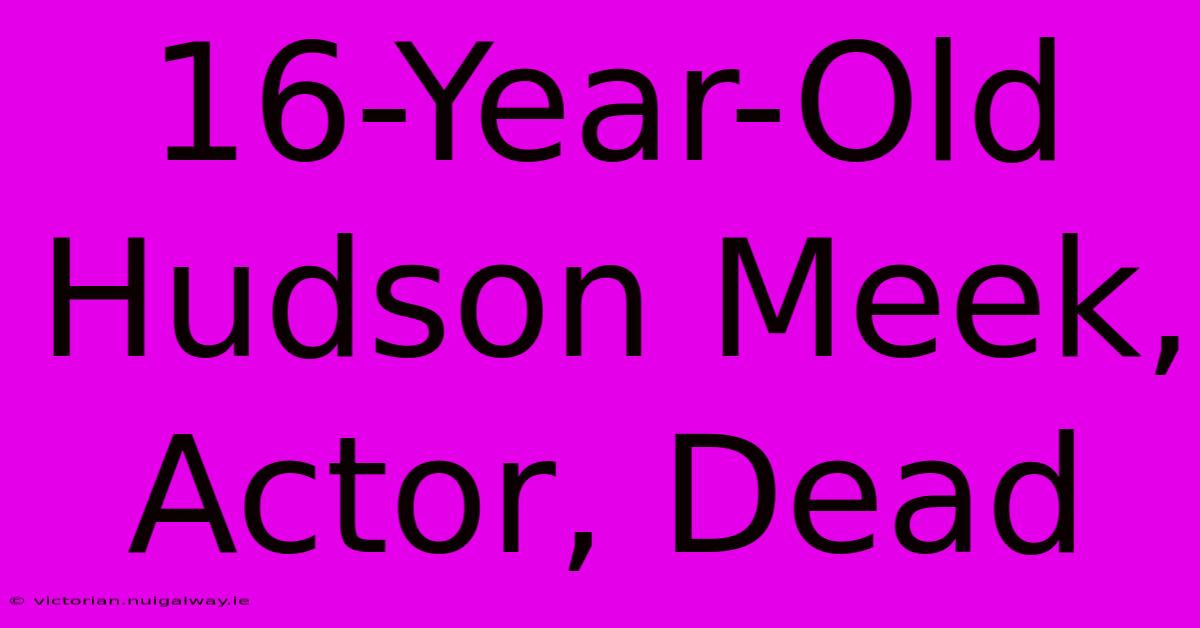 16-Year-Old Hudson Meek, Actor, Dead