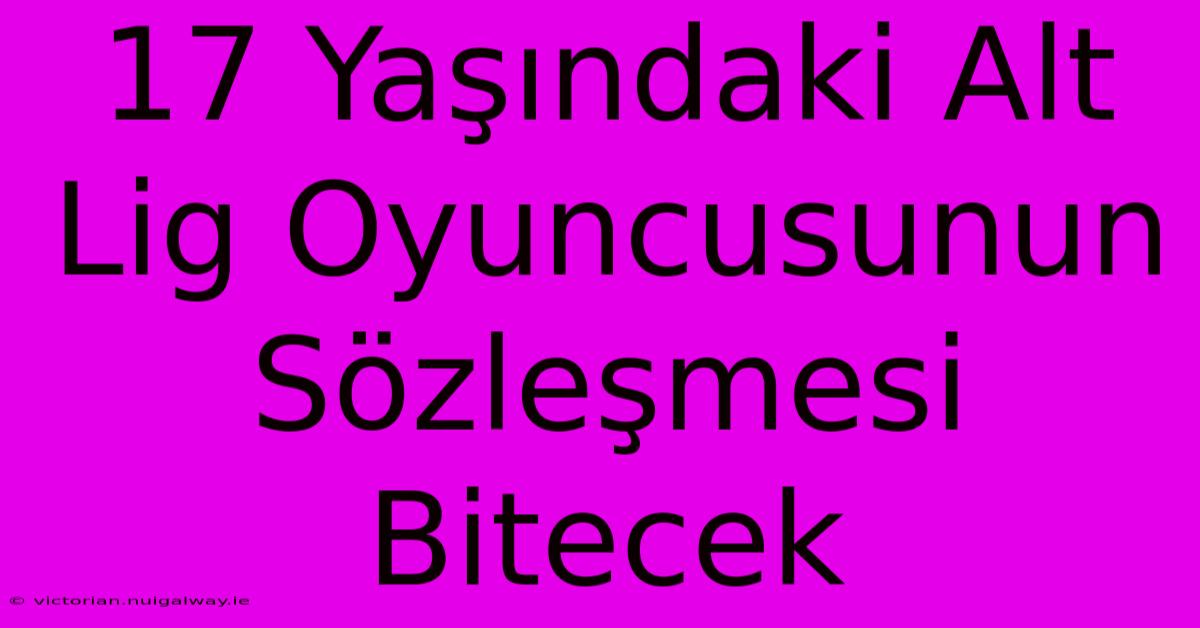 17 Yaşındaki Alt Lig Oyuncusunun Sözleşmesi Bitecek