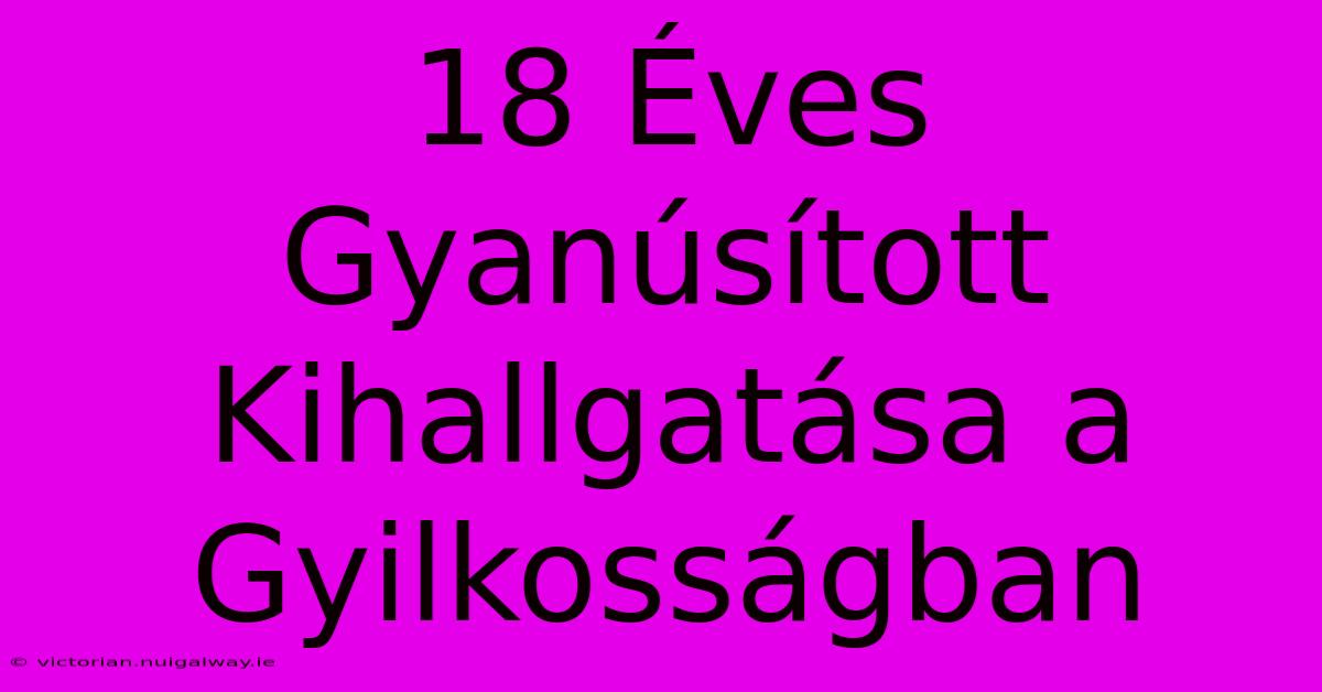 18 Éves Gyanúsított Kihallgatása A Gyilkosságban 