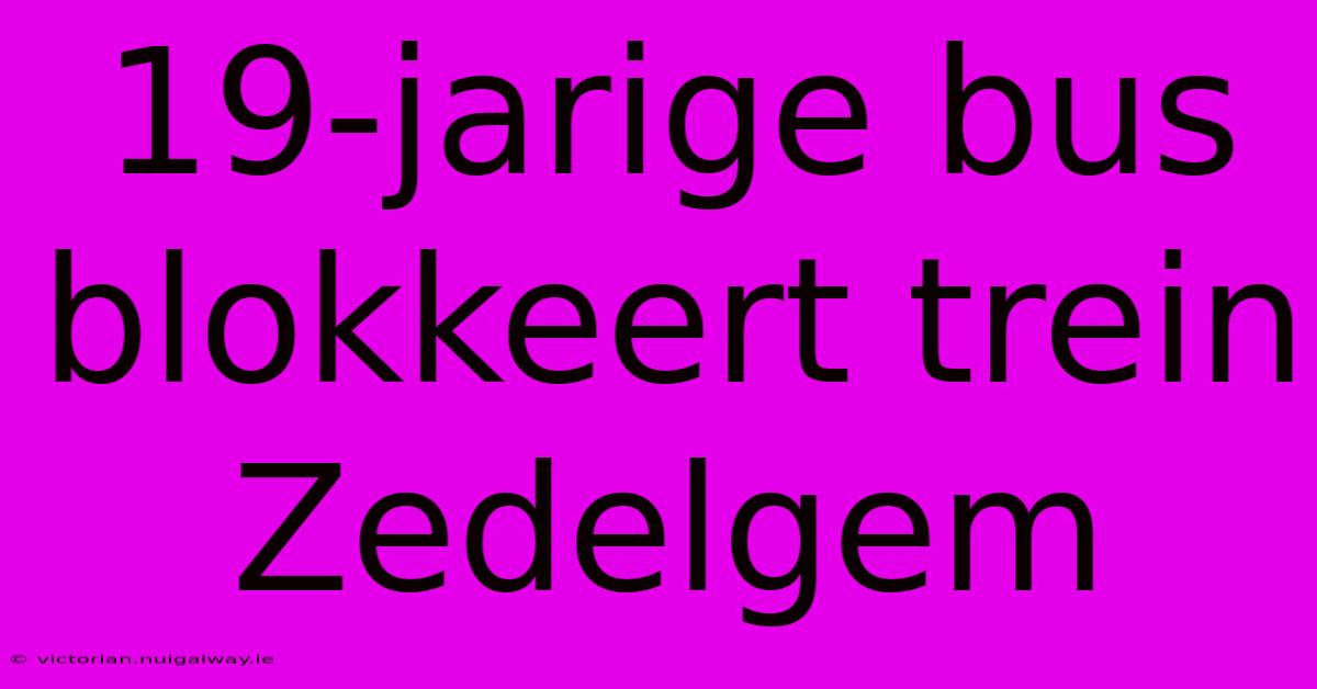 19-jarige Bus Blokkeert Trein Zedelgem