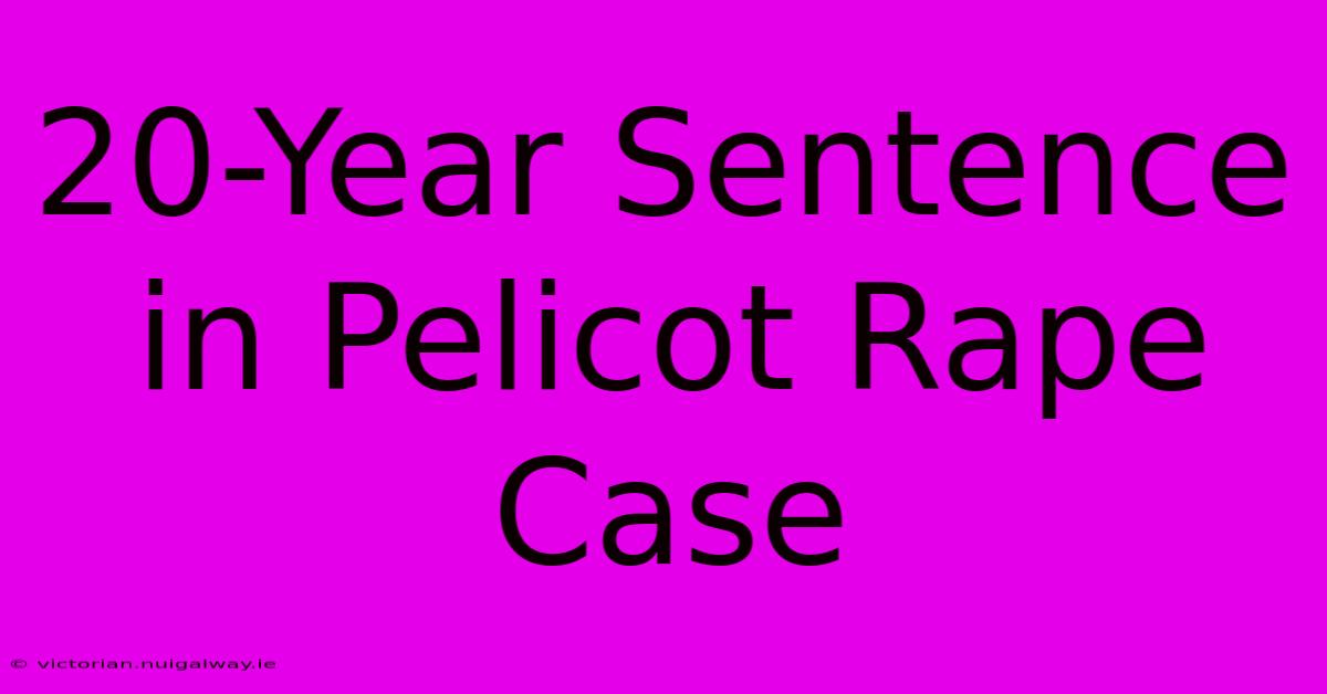 20-Year Sentence In Pelicot Rape Case