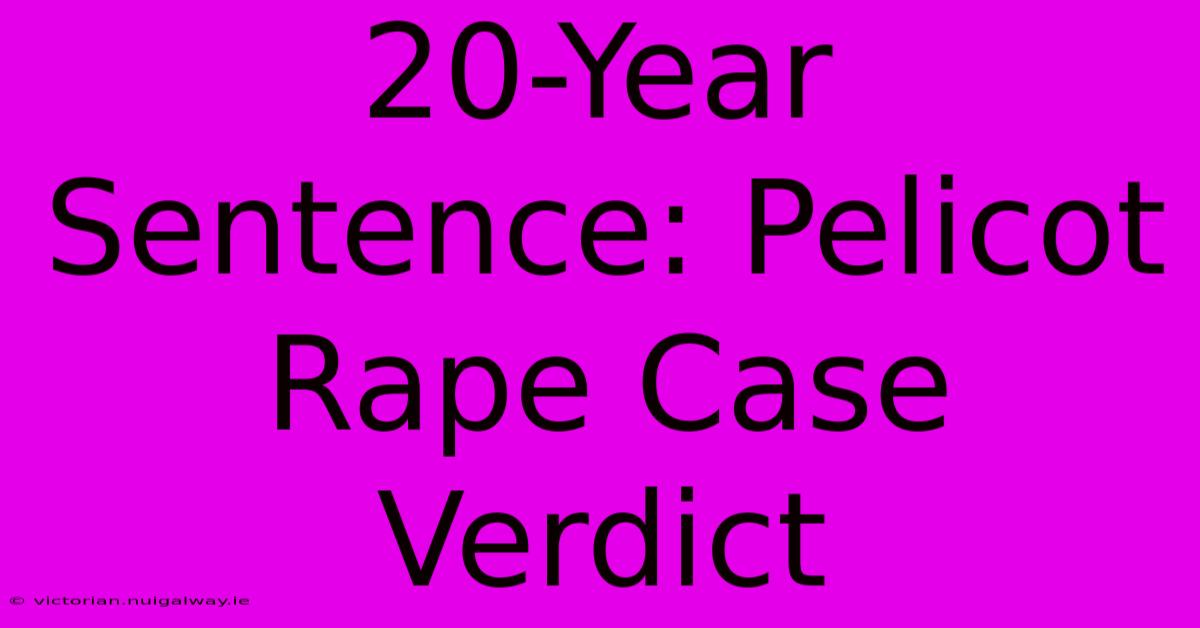 20-Year Sentence: Pelicot Rape Case Verdict