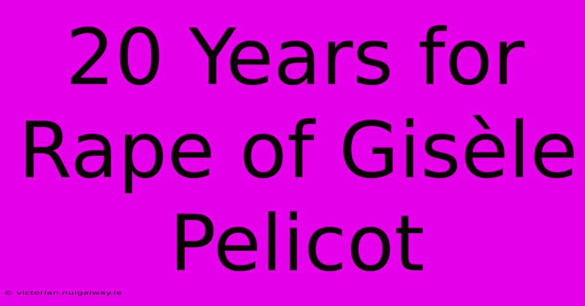 20 Years For Rape Of Gisèle Pelicot