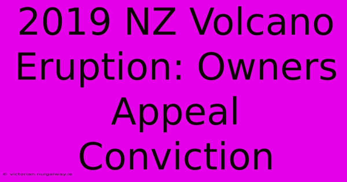 2019 NZ Volcano Eruption: Owners Appeal Conviction