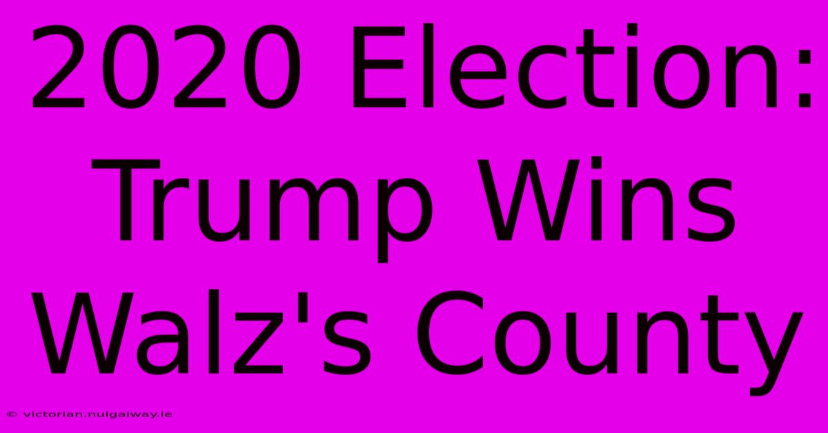 2020 Election: Trump Wins Walz's County 