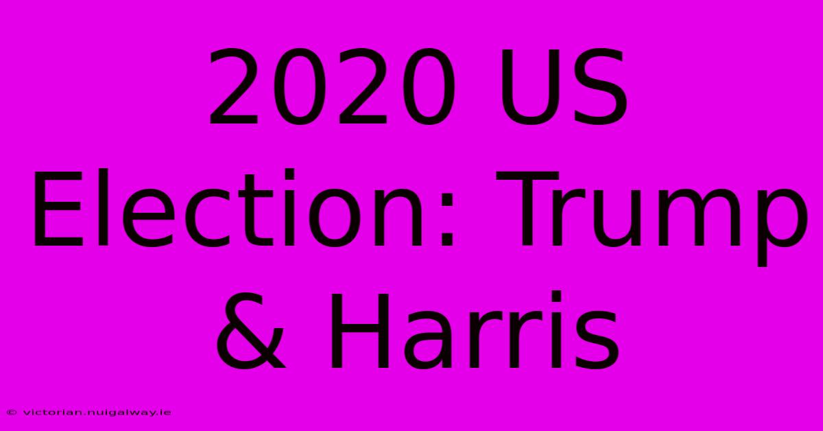 2020 US Election: Trump & Harris