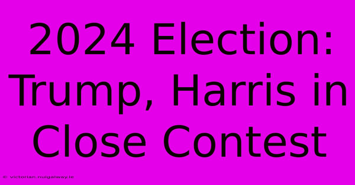 2024 Election: Trump, Harris In Close Contest 