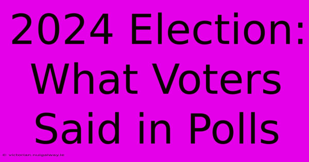 2024 Election: What Voters Said In Polls 