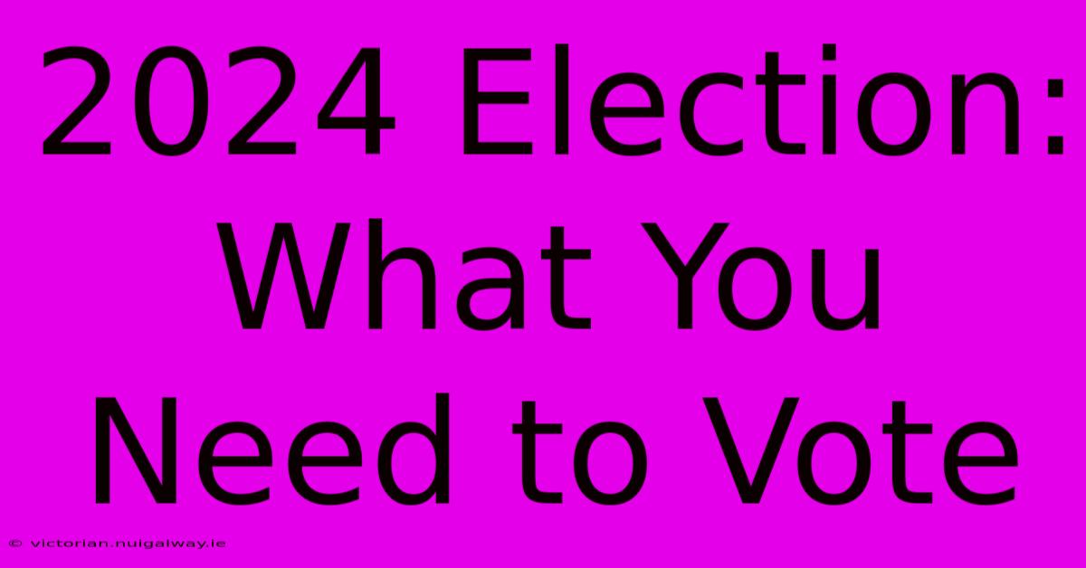 2024 Election: What You Need To Vote