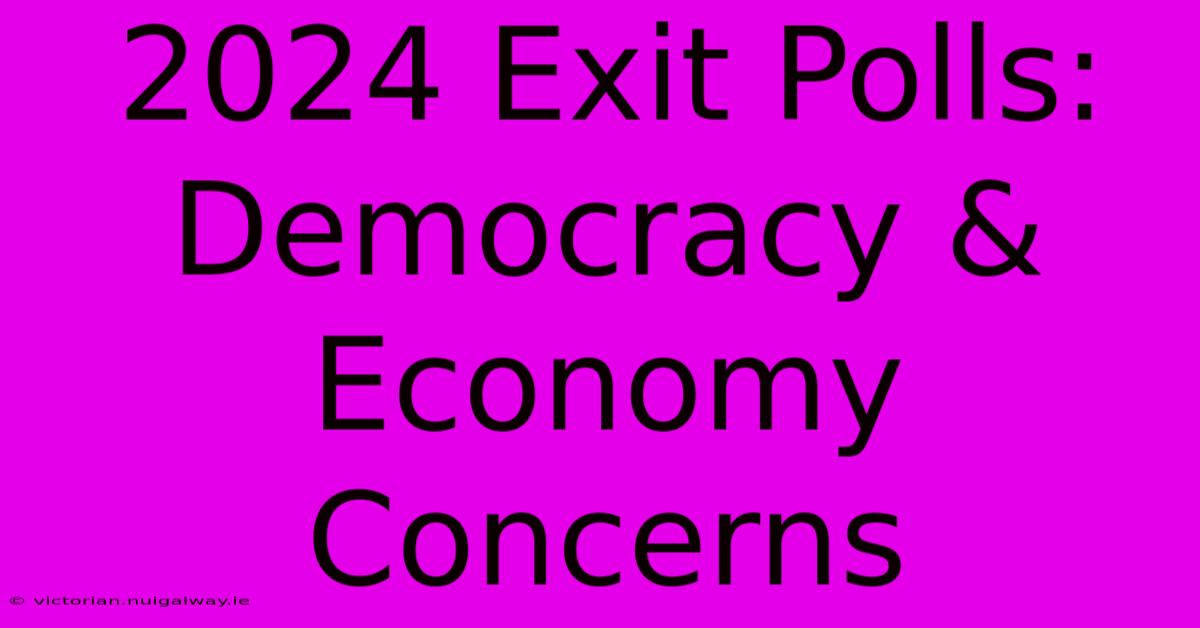 2024 Exit Polls: Democracy & Economy Concerns