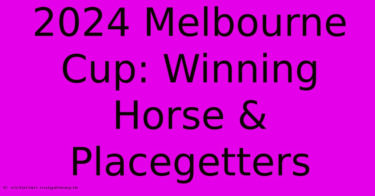 2024 Melbourne Cup: Winning Horse & Placegetters 