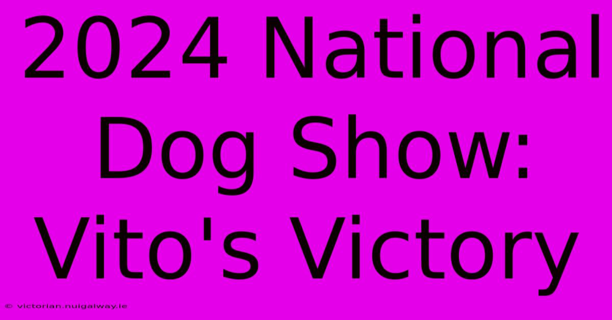 2024 National Dog Show: Vito's Victory