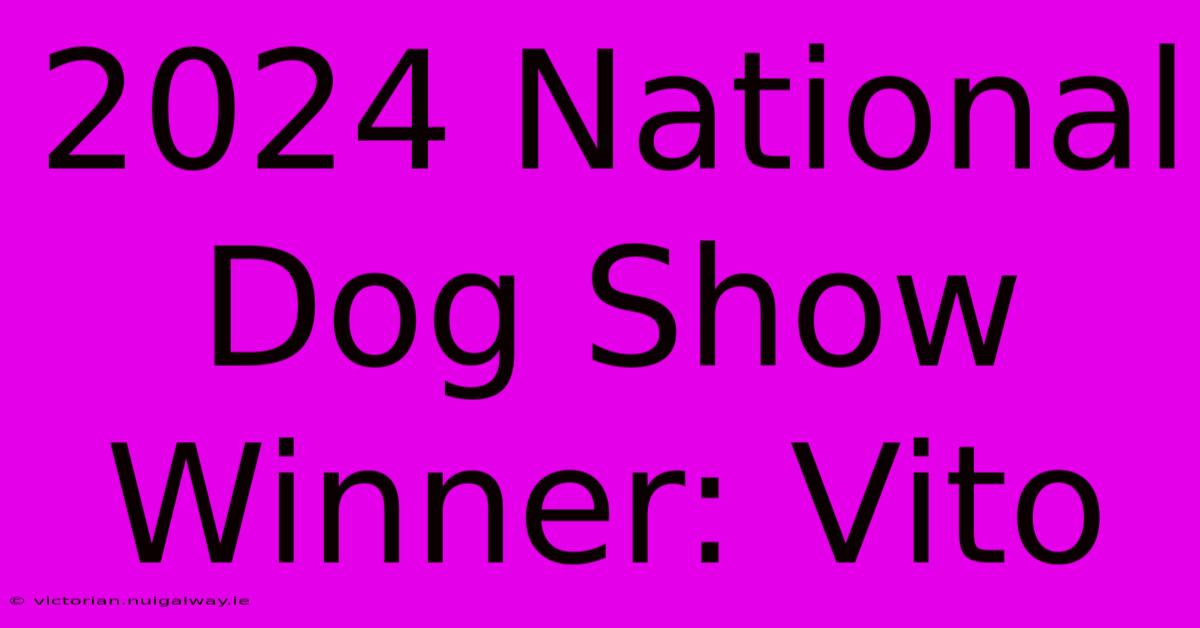 2024 National Dog Show Winner: Vito