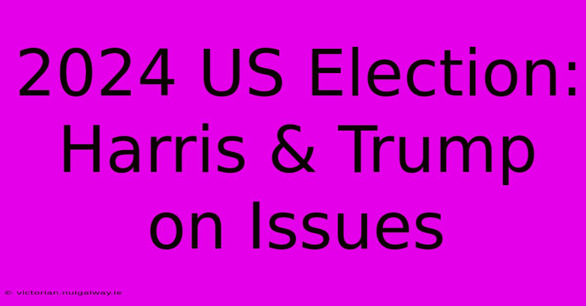 2024 US Election:  Harris & Trump On Issues 