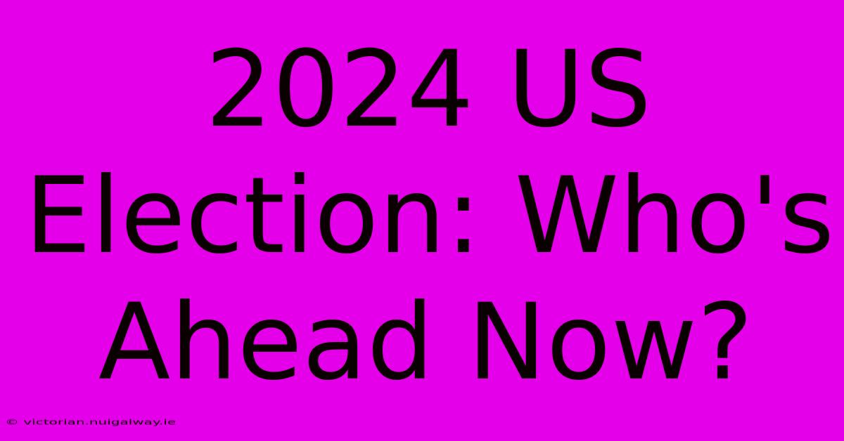 2024 US Election: Who's Ahead Now?