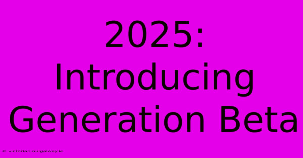 2025: Introducing Generation Beta