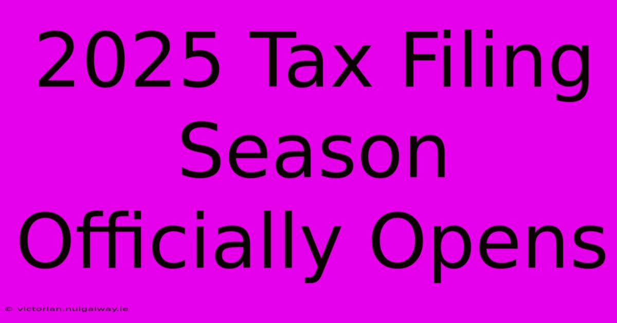 2025 Tax Filing Season Officially Opens