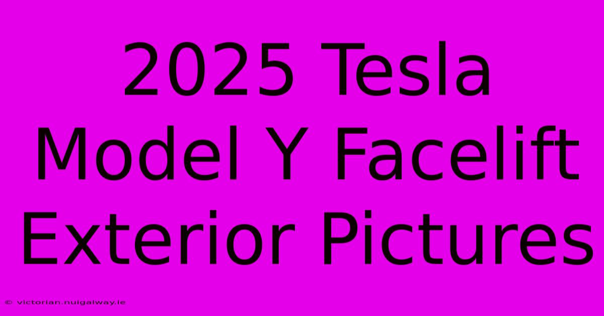 2025 Tesla Model Y Facelift Exterior Pictures