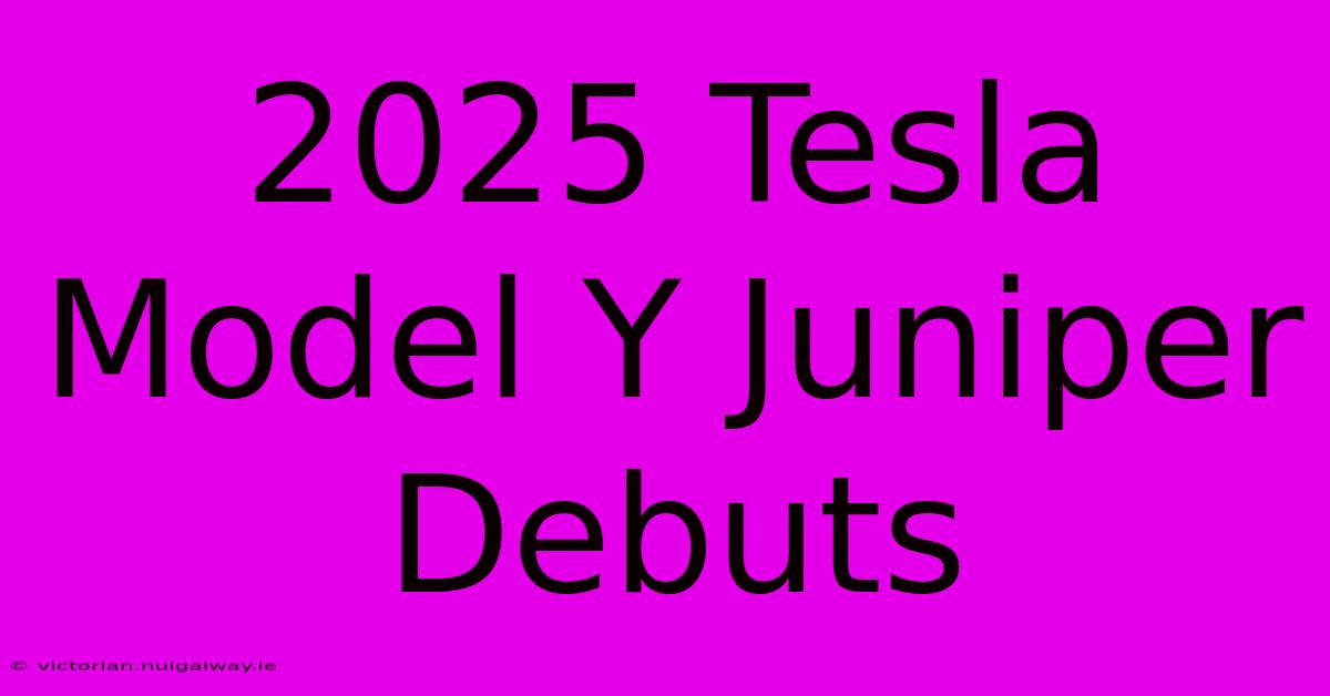 2025 Tesla Model Y Juniper Debuts