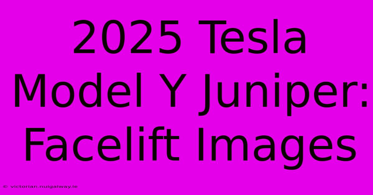 2025 Tesla Model Y Juniper: Facelift Images