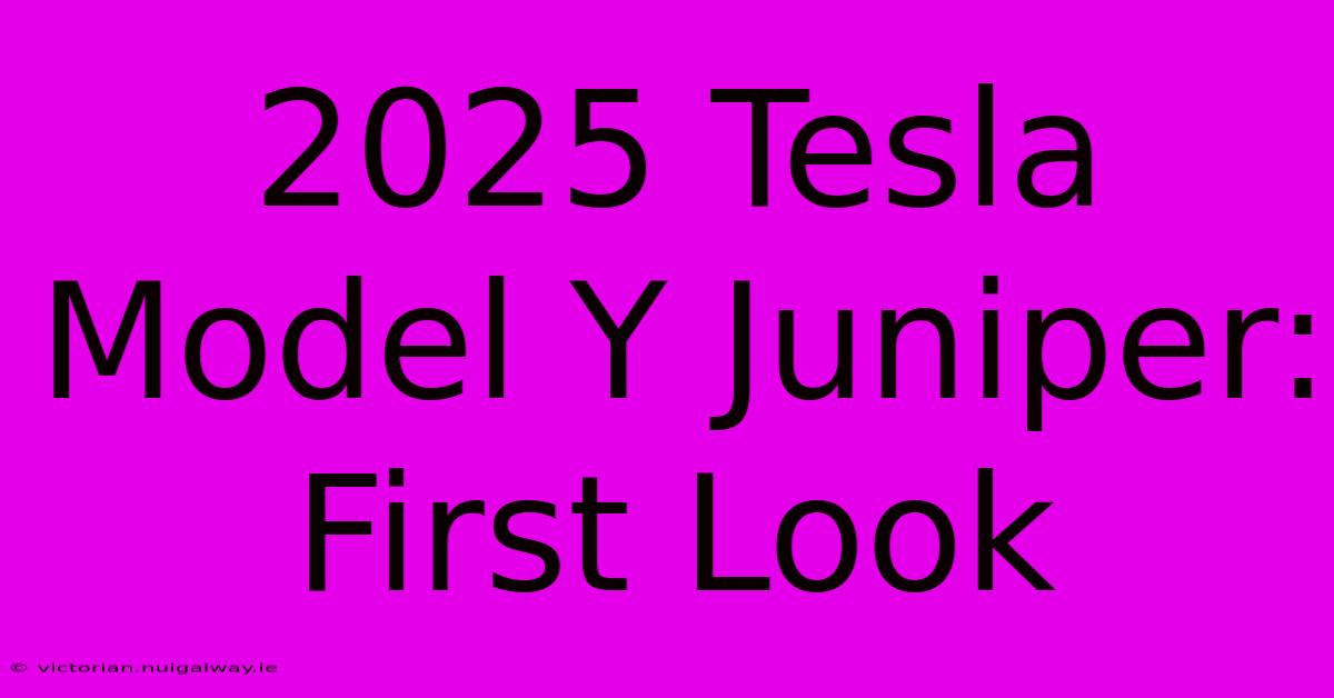 2025 Tesla Model Y Juniper: First Look