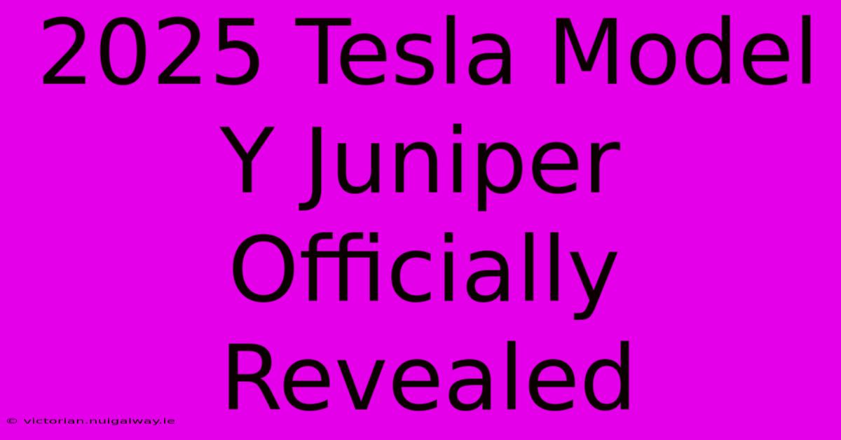 2025 Tesla Model Y Juniper Officially Revealed