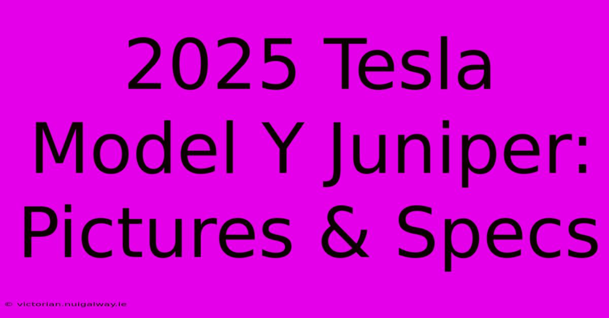 2025 Tesla Model Y Juniper: Pictures & Specs