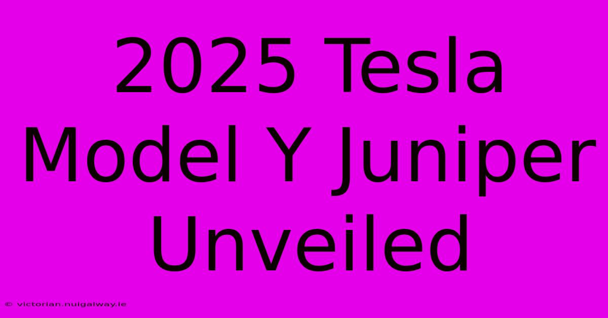 2025 Tesla Model Y Juniper Unveiled