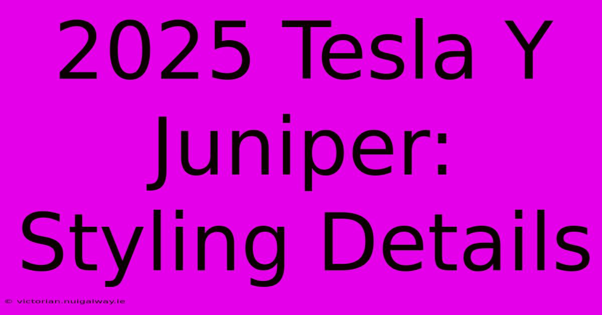 2025 Tesla Y Juniper: Styling Details