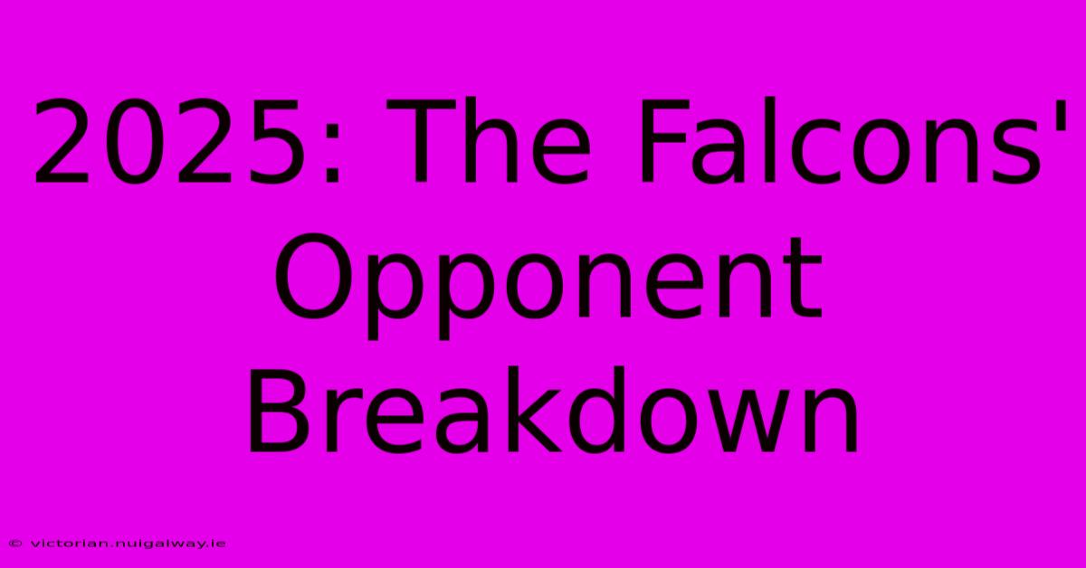 2025: The Falcons' Opponent Breakdown