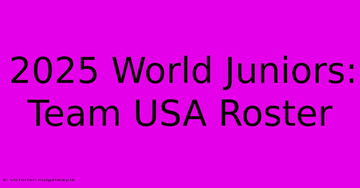 2025 World Juniors: Team USA Roster