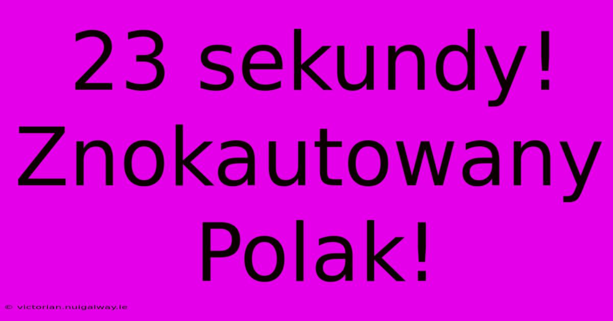 23 Sekundy! Znokautowany Polak!