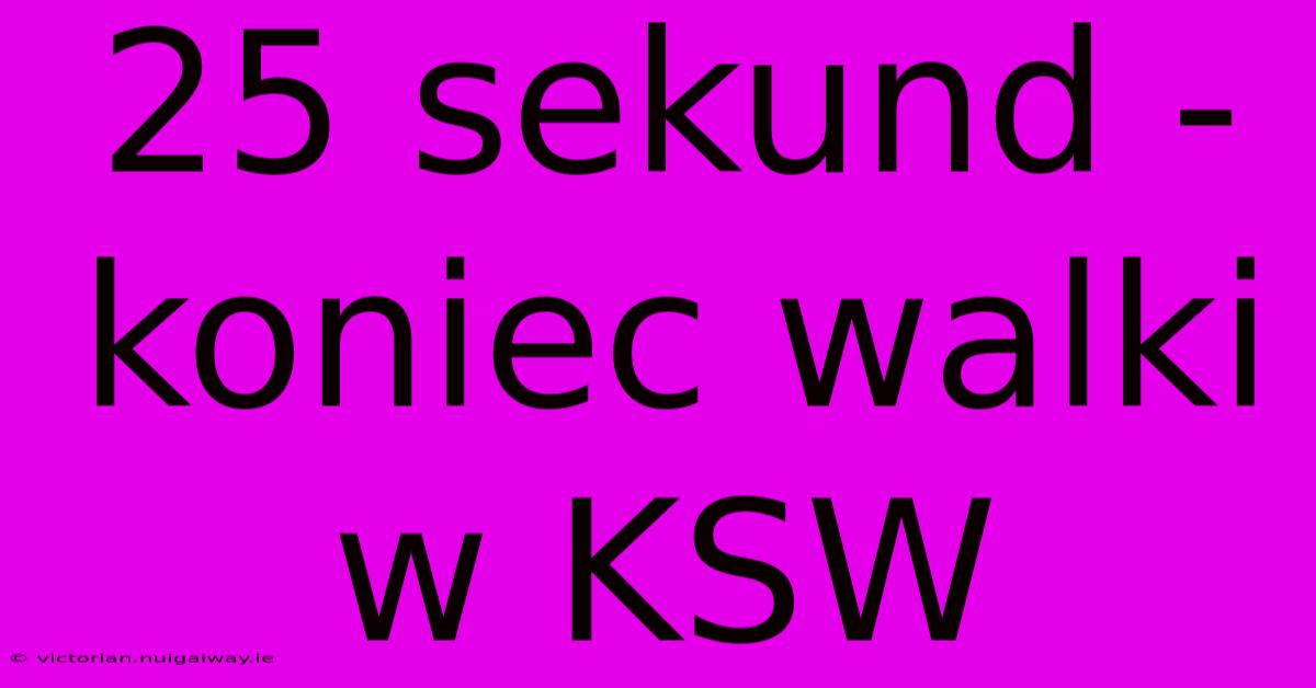 25 Sekund - Koniec Walki W KSW