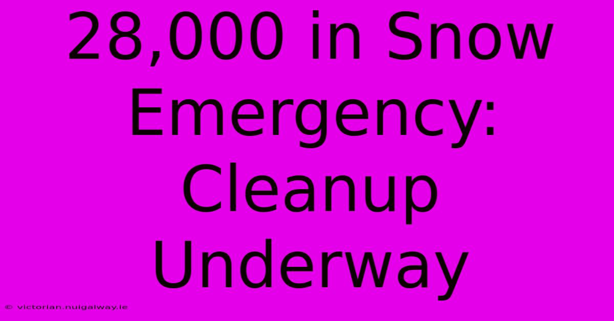 28,000 In Snow Emergency: Cleanup Underway