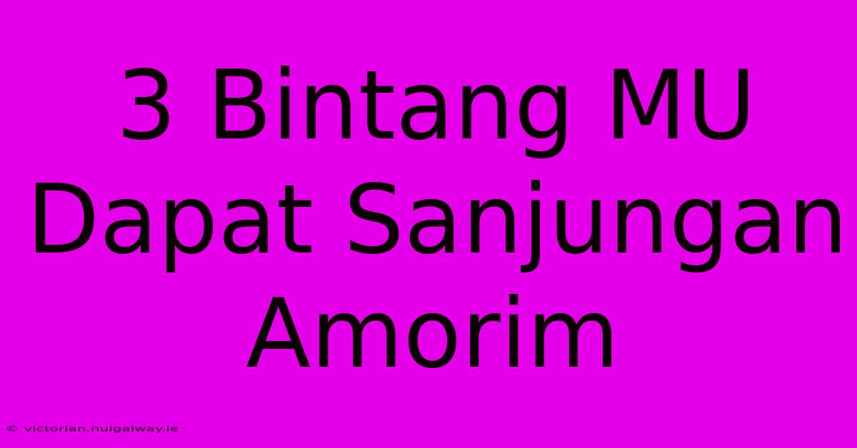 3 Bintang MU Dapat Sanjungan Amorim